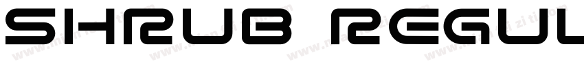 Shrub Regular字体转换
